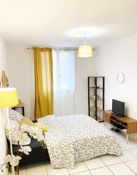 Studio A 5 Mn A Pied De La Gare Saint-Roch Montpellier Exteriör bild